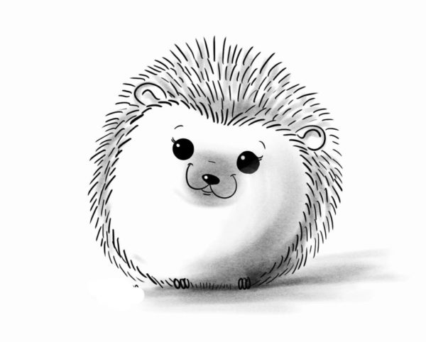 Roztomilý malý ježek 1 omalovánka