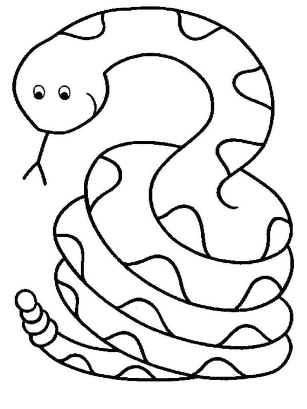 Tělo studenokrevného hada je pokryto hladkými šupinami. omalovánka
