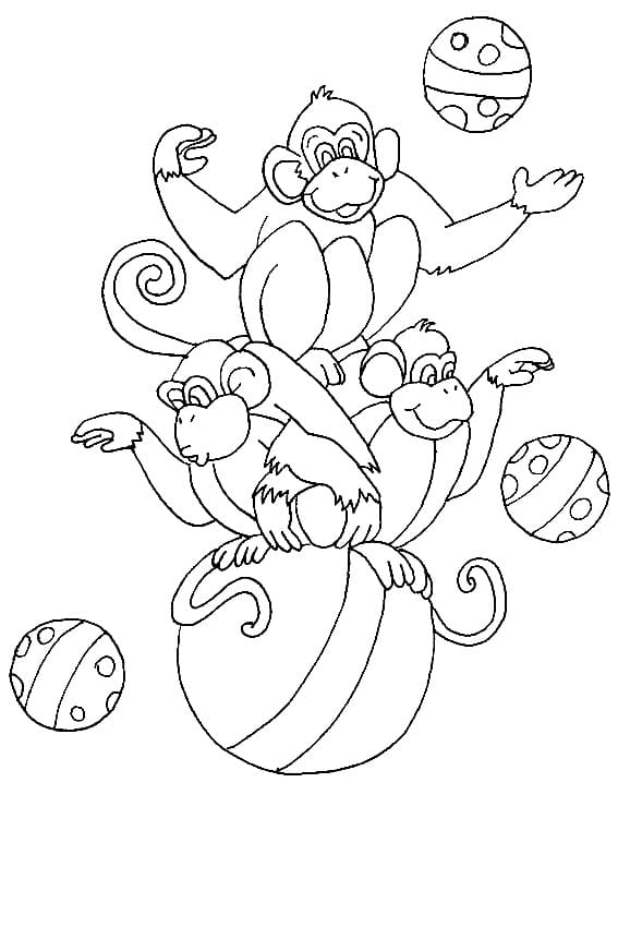Tři opice s míčky omalovánka