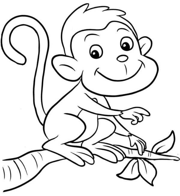 Usmívající se opice sedící na větvi omalovánka