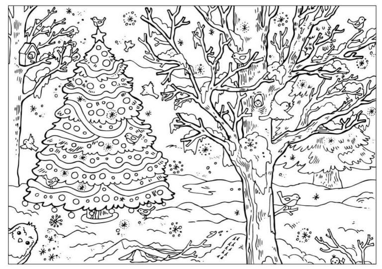 Vánoční strom v lese omalovánka