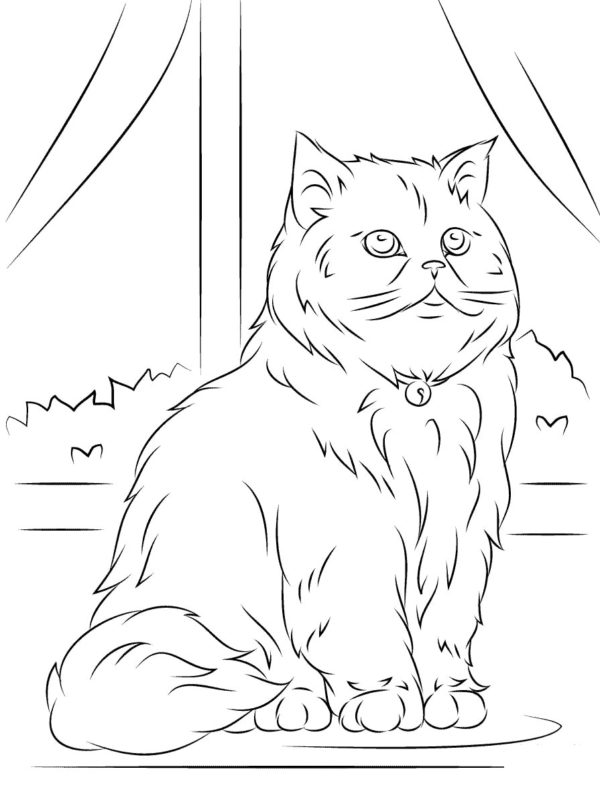 Omalovánka Velká chlupatá kočka na okenním parapetu. Omalovánka