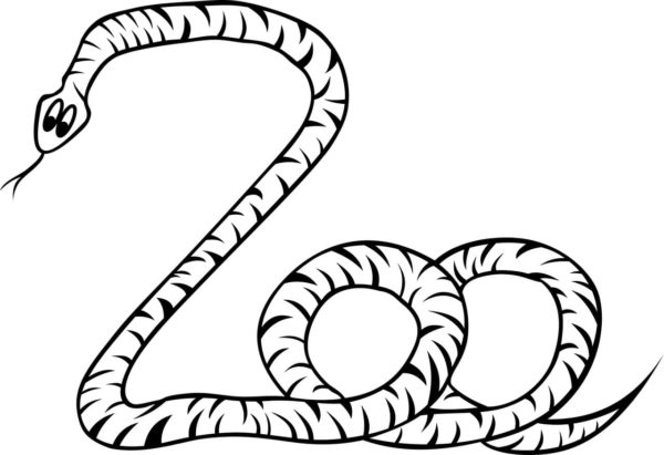 Velmi dlouhý pruhovaný had. omalovánka