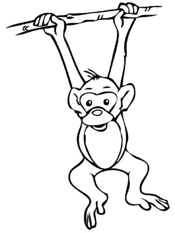 Veselá opice visící na větvi omalovánka
