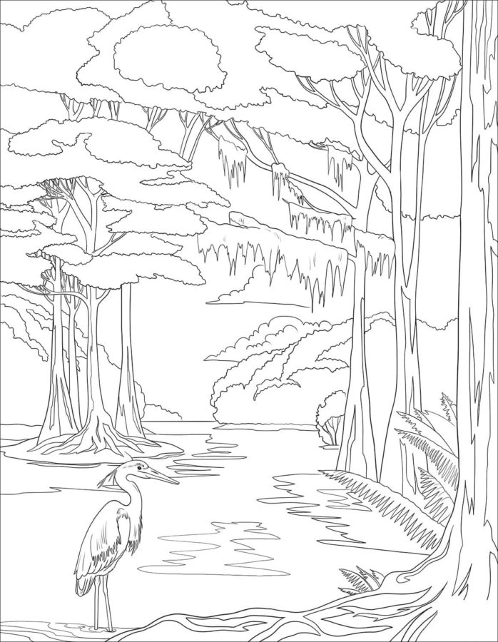 Volavka v lese. omalovánka