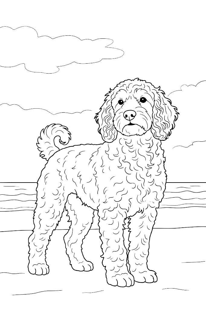 Cockapoo pes omalovánka