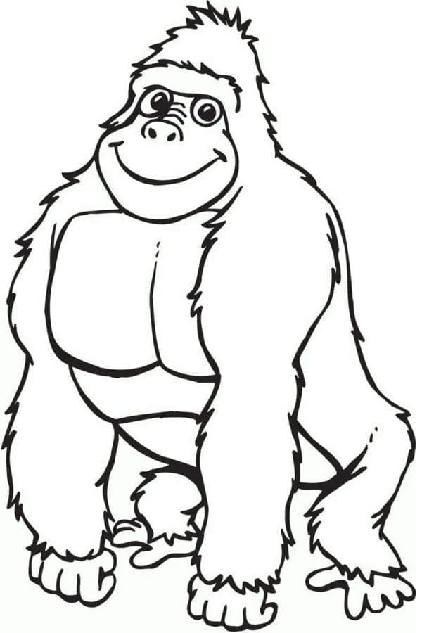 Animovaná Gorila omalovánka