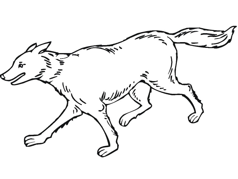Omalovánka běžící Vlk