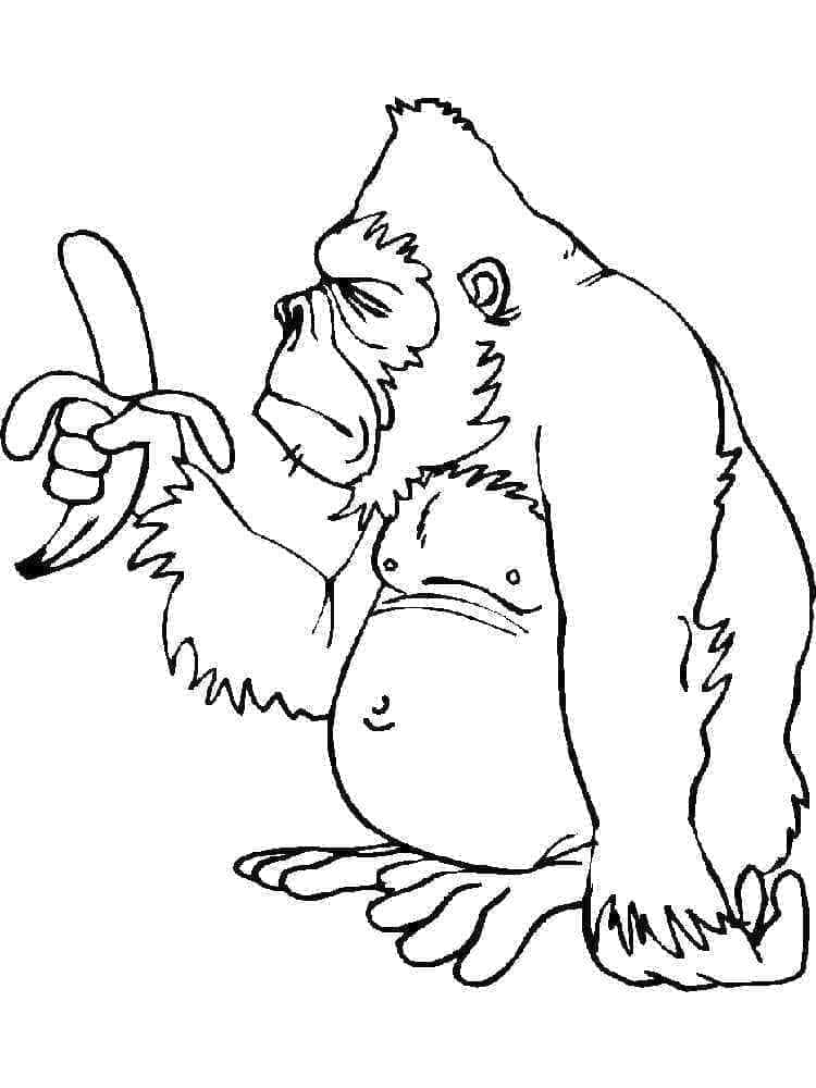 Gorila a Banán omalovánka