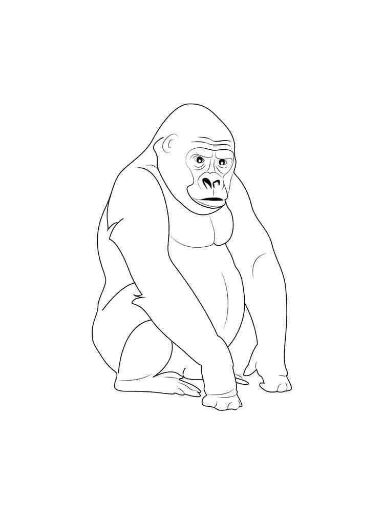Gorila k Tisku Pro Děti omalovánka