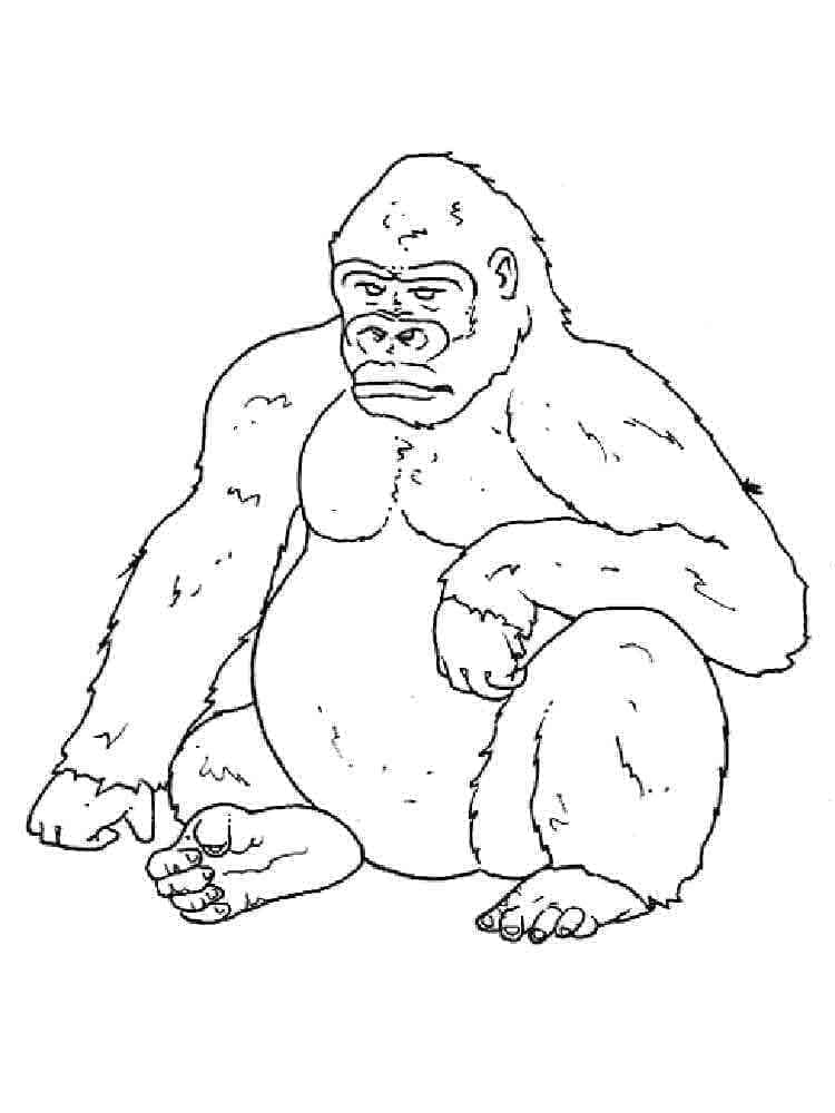 Gorila k Vytištění Zdarma omalovánka