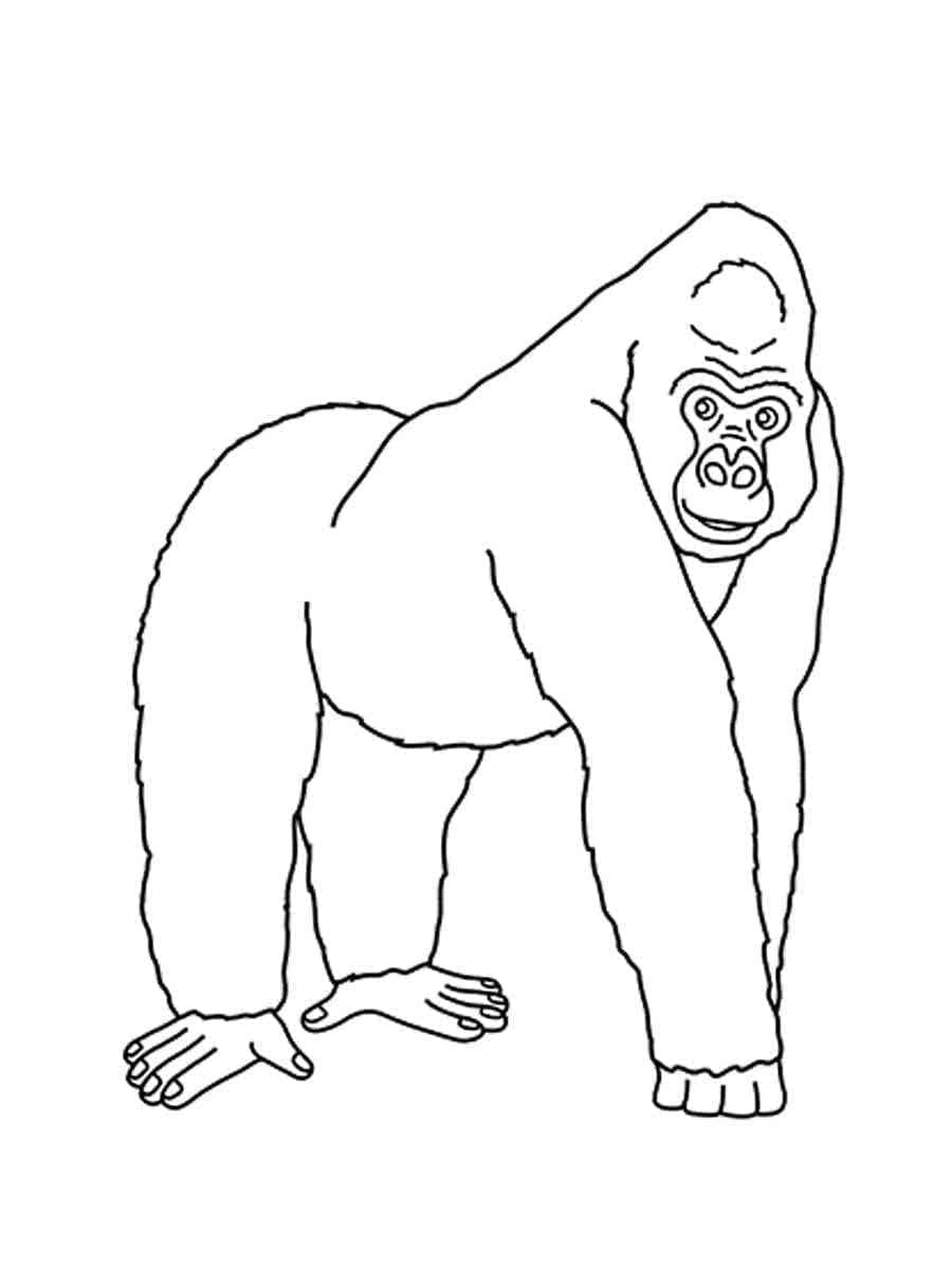 Gorila Pro Děti omalovánka