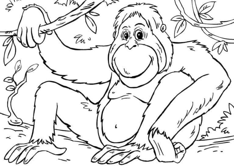 Gorila v Lese omalovánka