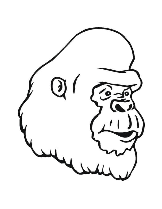 Omalovánka Gorilí Hlava