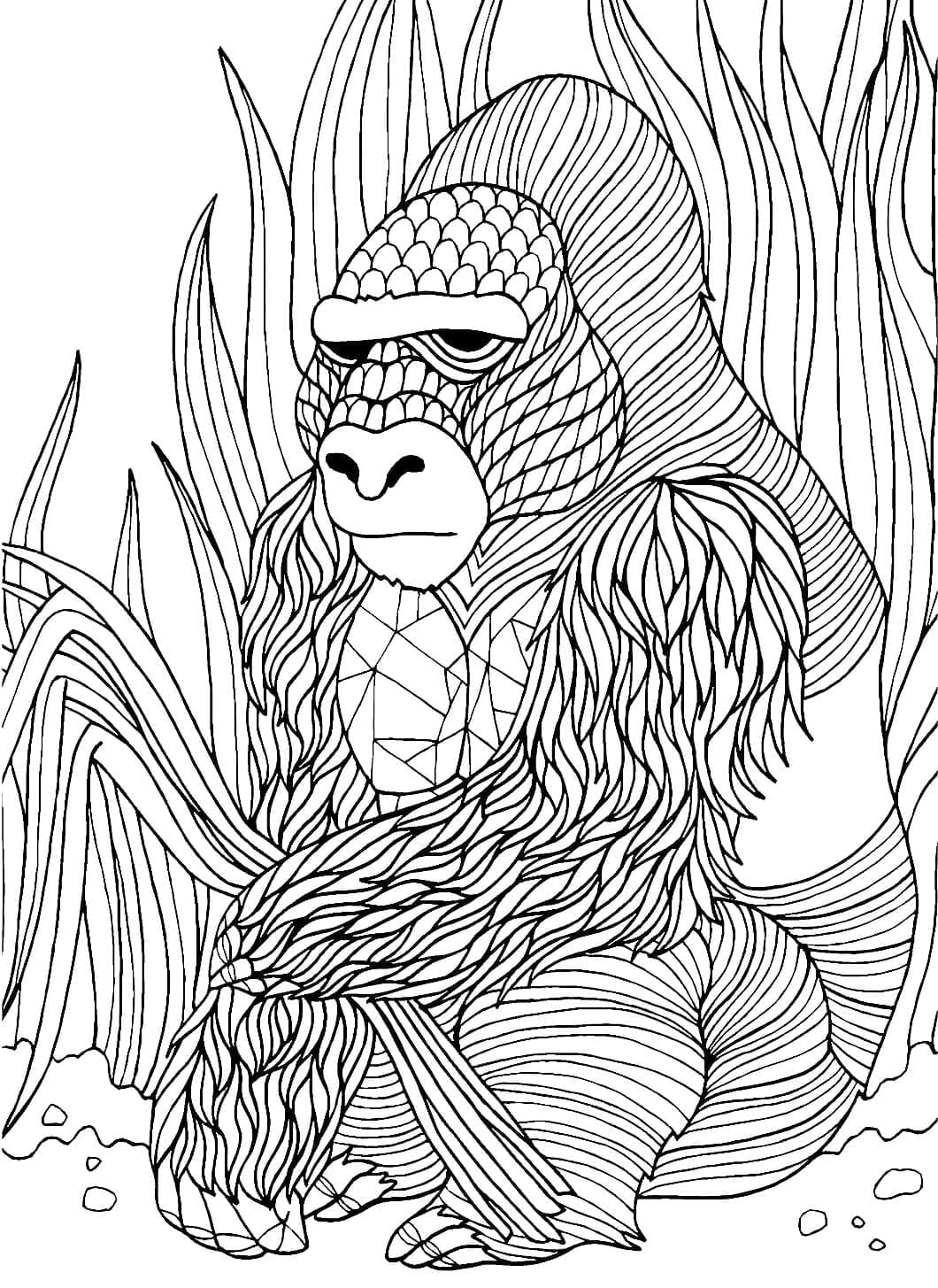 Obrázek Gorily omalovánka