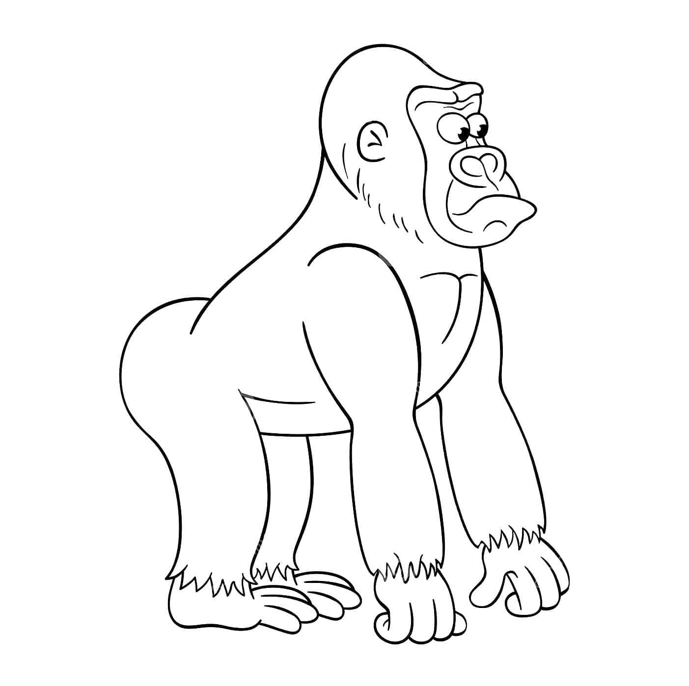 Omalovánka Ošklivá Gorila