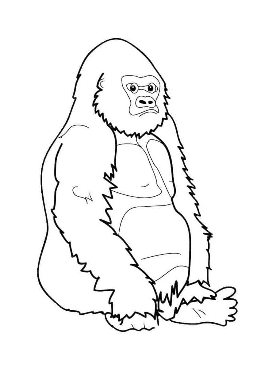 Sedící Gorila omalovánka