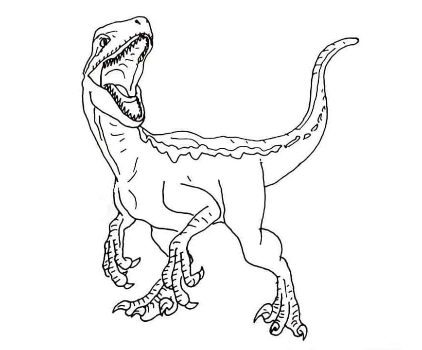 Velociraptor z Jurského světa omalovánka