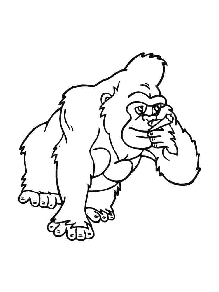 Zdarma Tisknutelná Gorila omalovánka