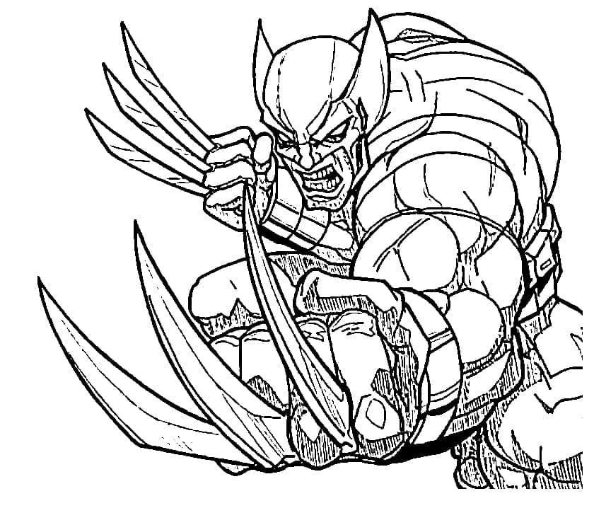 Rozzlobený Wolverine omalovánka