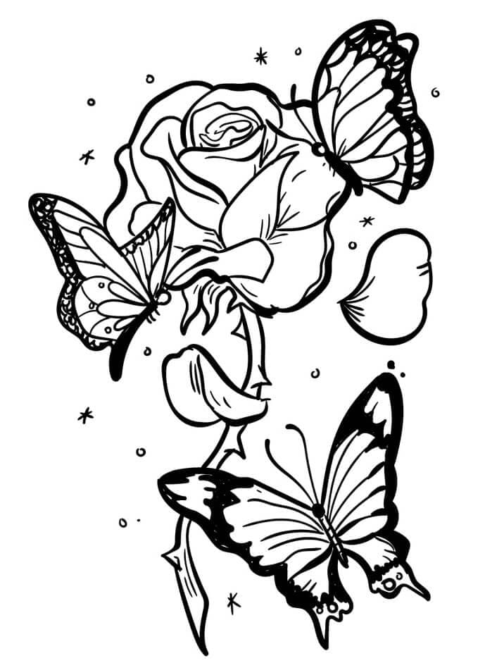 Růže Se Třemi Motýly omalovánka