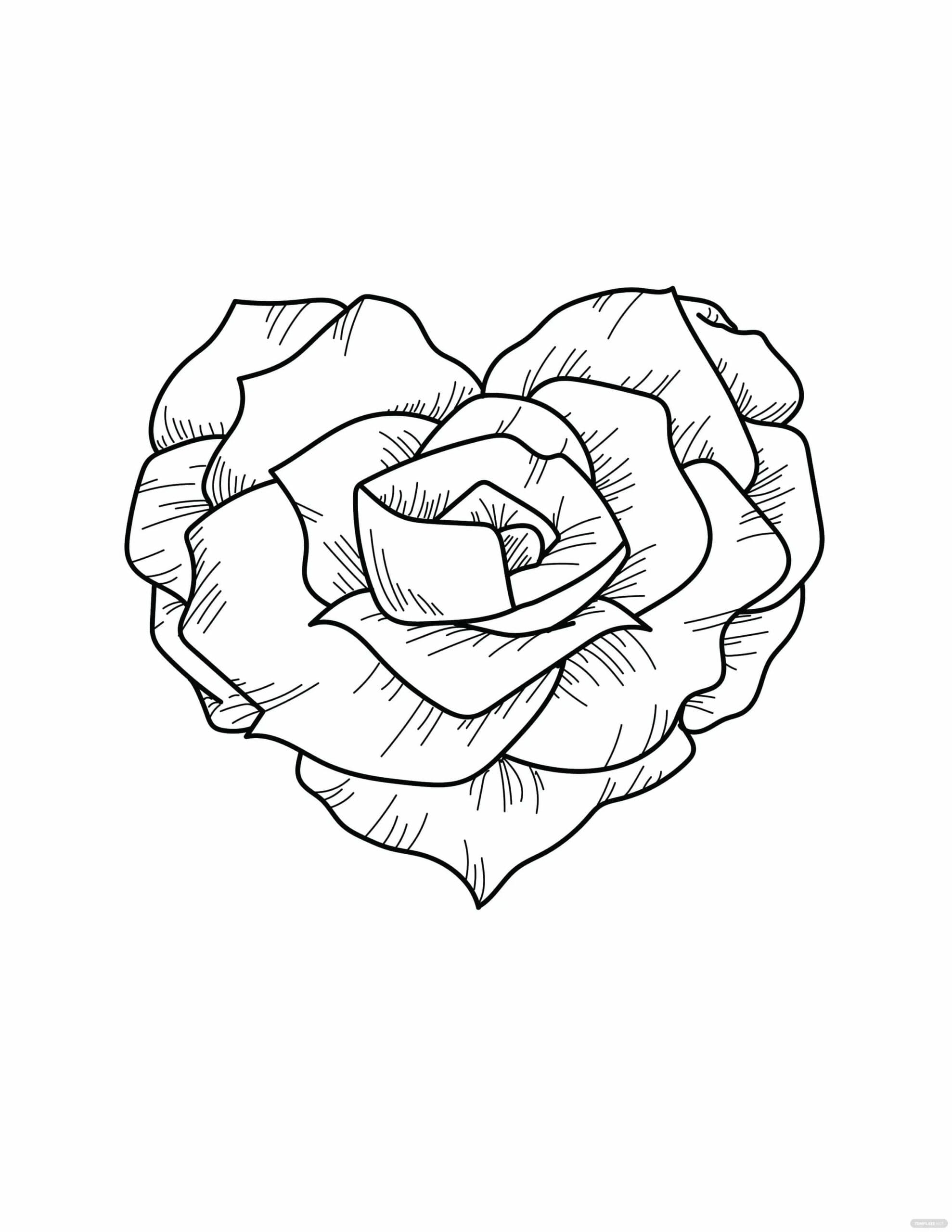 Růže Ve Tvaru Srdce omalovánka