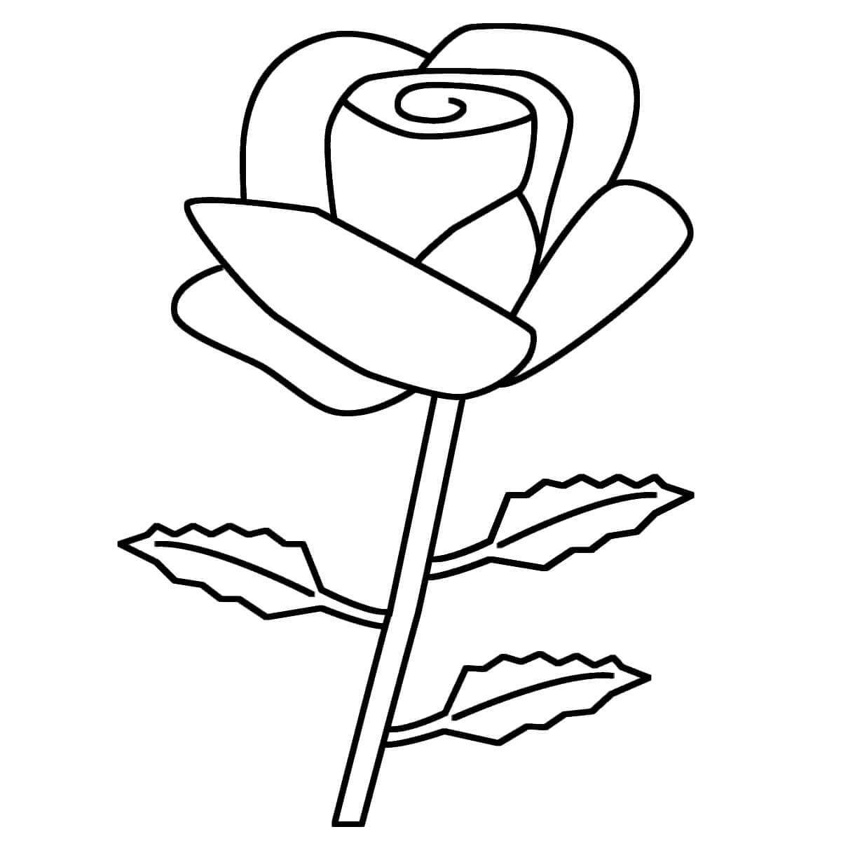 Snadná Růže omalovánka