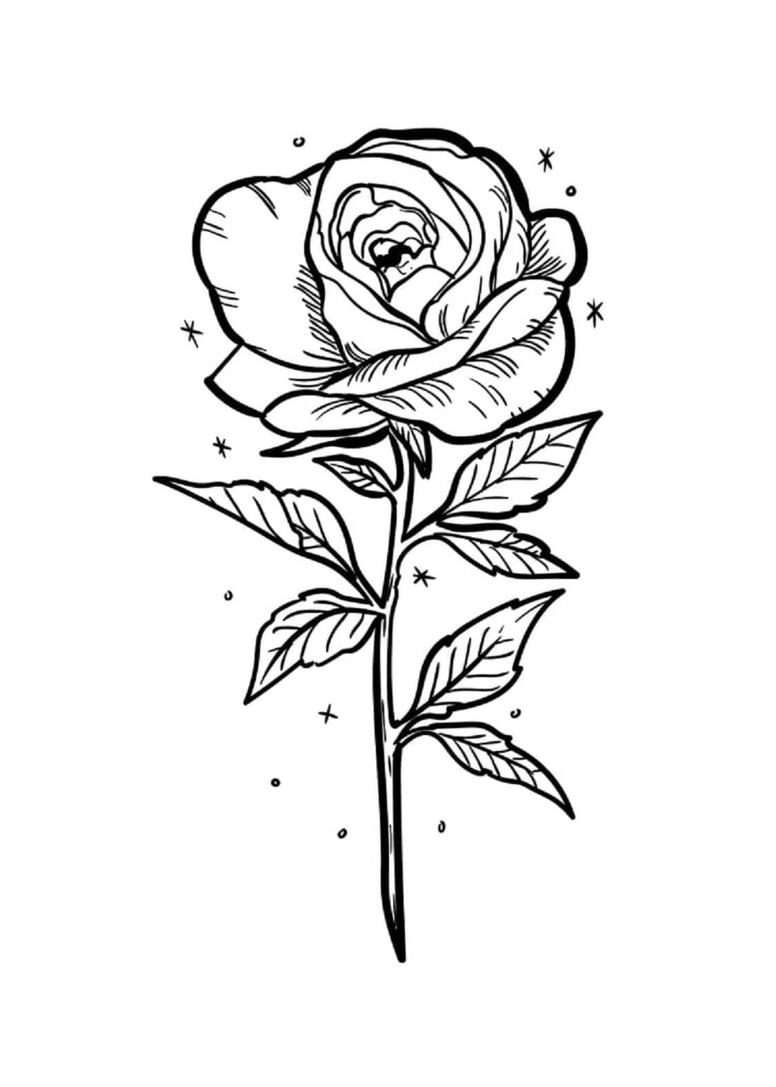 Růže omalovánky