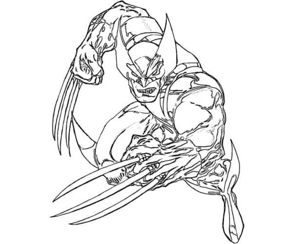 Wolverine Bojování omalovánka