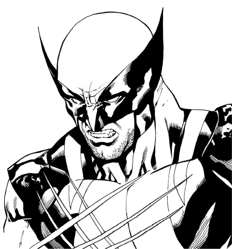 Wolverine Je Chladný omalovánka