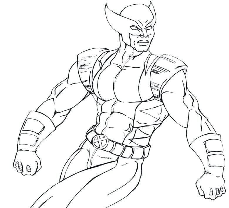 Wolverine Obraz omalovánka