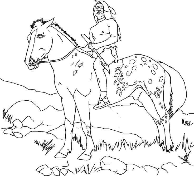Domorodý jezdecký kůň omalovánka