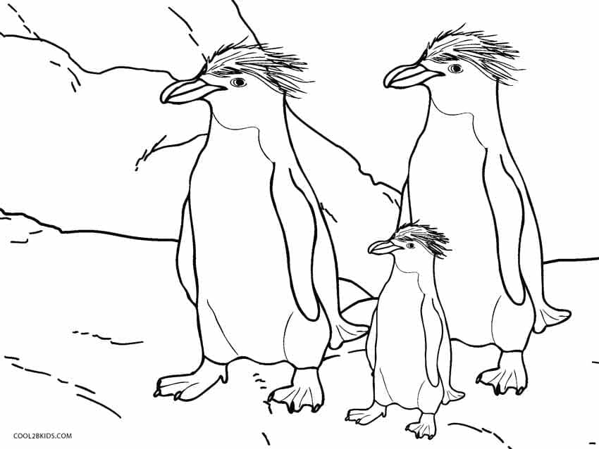 Obrázek Tři Tučňáci omalovánka