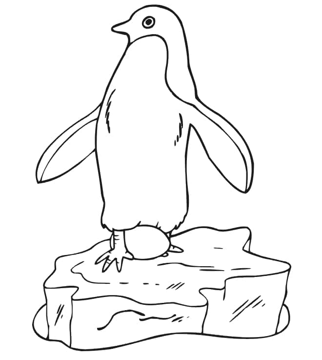 Tučňák Dobrý omalovánka