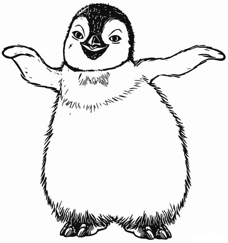 Základní tučňák omalovánka