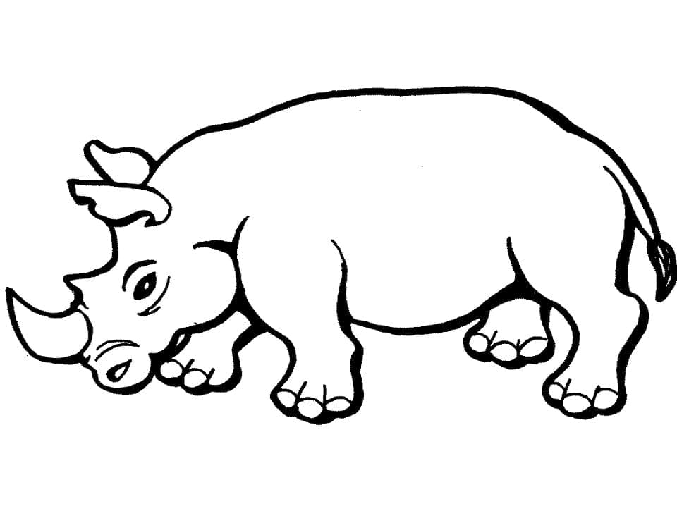 Kresba nosorožce zdarma omalovánka
