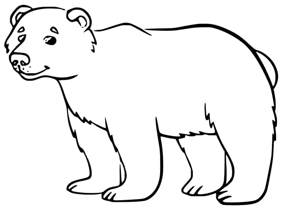 Kreslený medvěd omalovánka