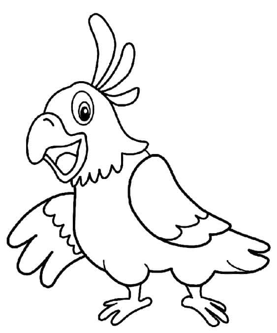 Kreslený papoušek omalovánka