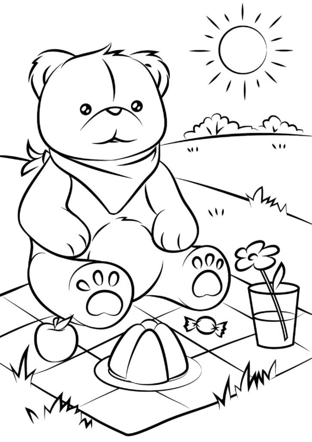 Medvěd na pikniku omalovánka
