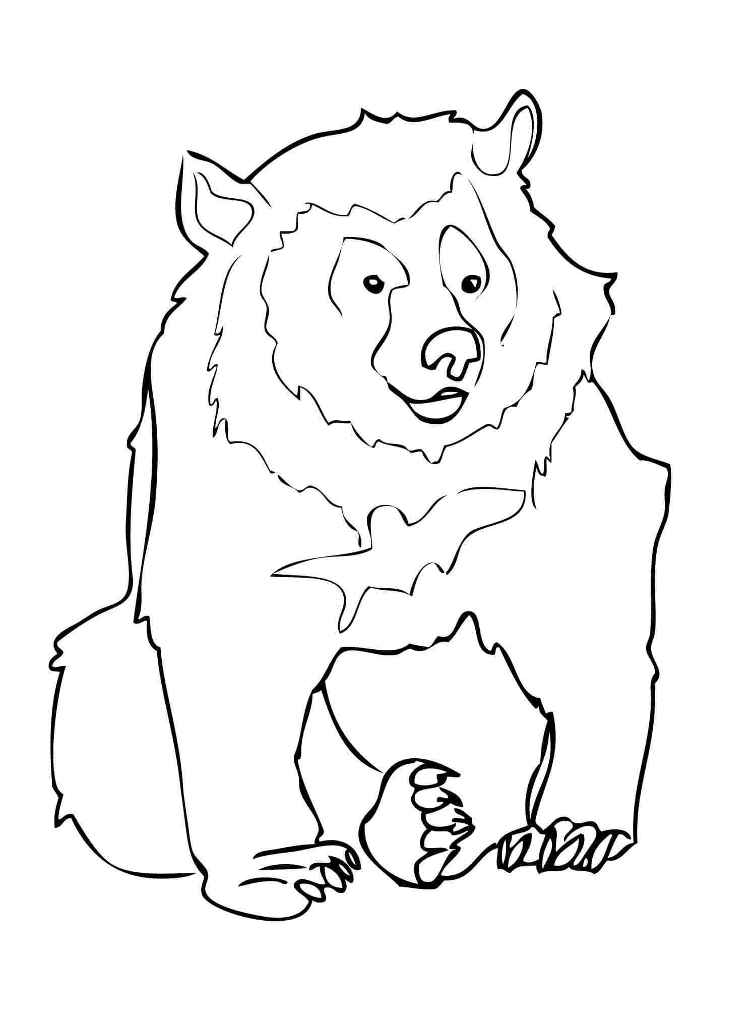Omalovánka Normální medvěd