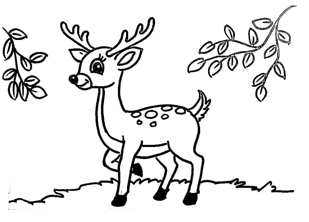 Roztomilý jelen omalovánka