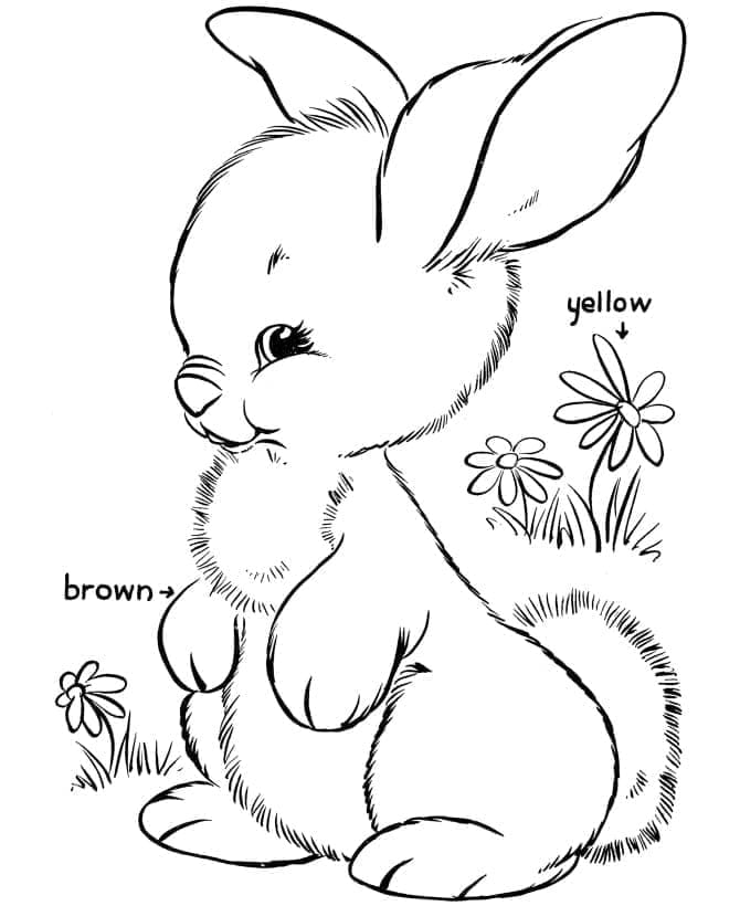 Roztomilý králík omalovánka