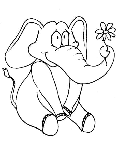 Slon s květinou omalovánka