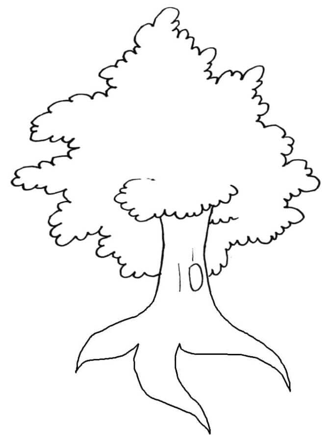 Číslovaný strom omalovánka