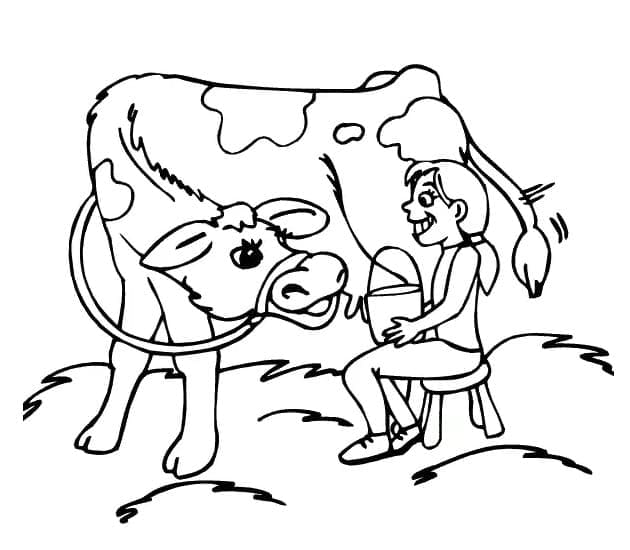 Omalovánka Dívka a kráva