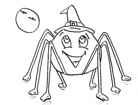 Halloweenský pavouk omalovánka