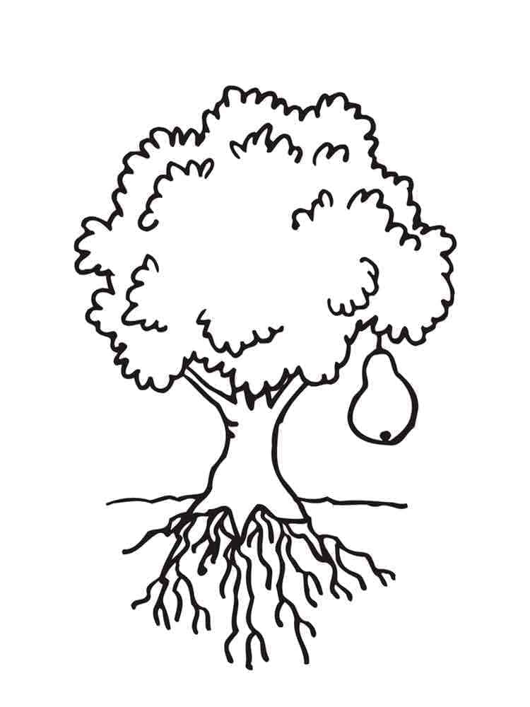 Omalovánka Hruška na stromě