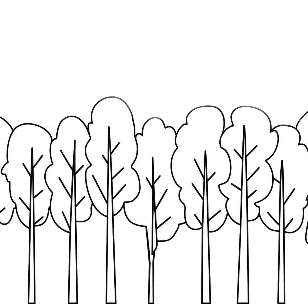 Jednoduché stromy omalovánka