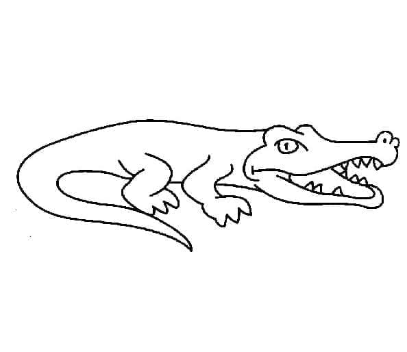 Jednoduchý krokodýl omalovánka