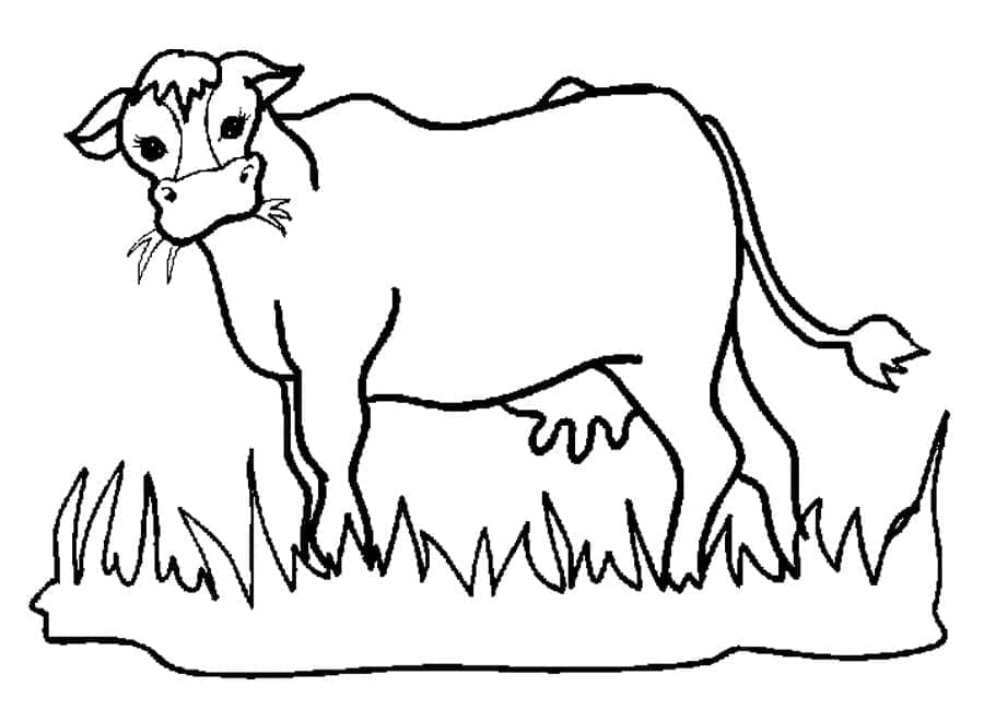Omalovánka Kráva V Poli